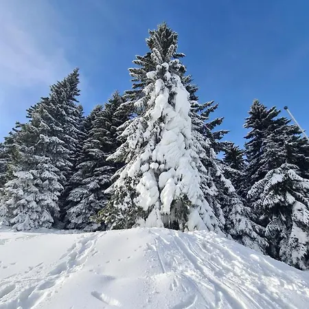 Pahulja - Milmari Apartman