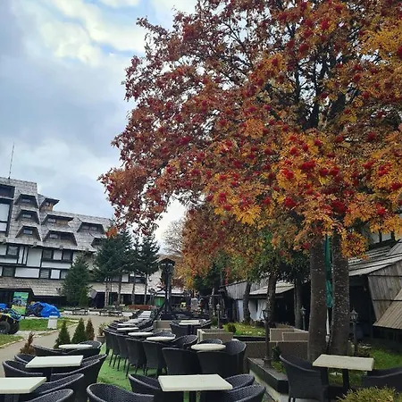 Pahulja - Milmari Kopaonik