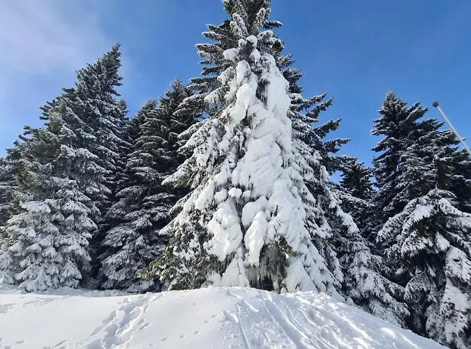 Pahulja - Milmari Apartman
