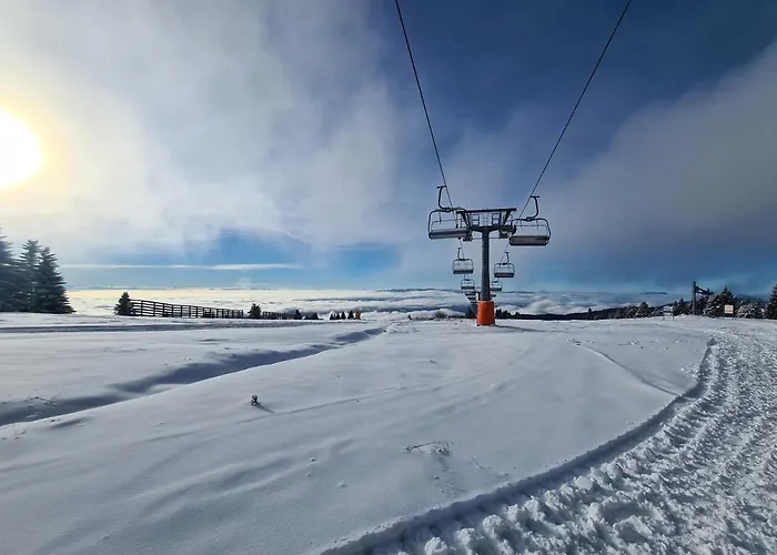 Apartman Pahulja - Milmari Kopaonik